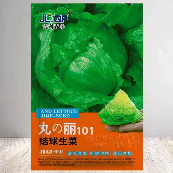 【满5包邮】结球生菜甜脆汉堡生菜种子脆嫩爽口生吃生菜种籽盆