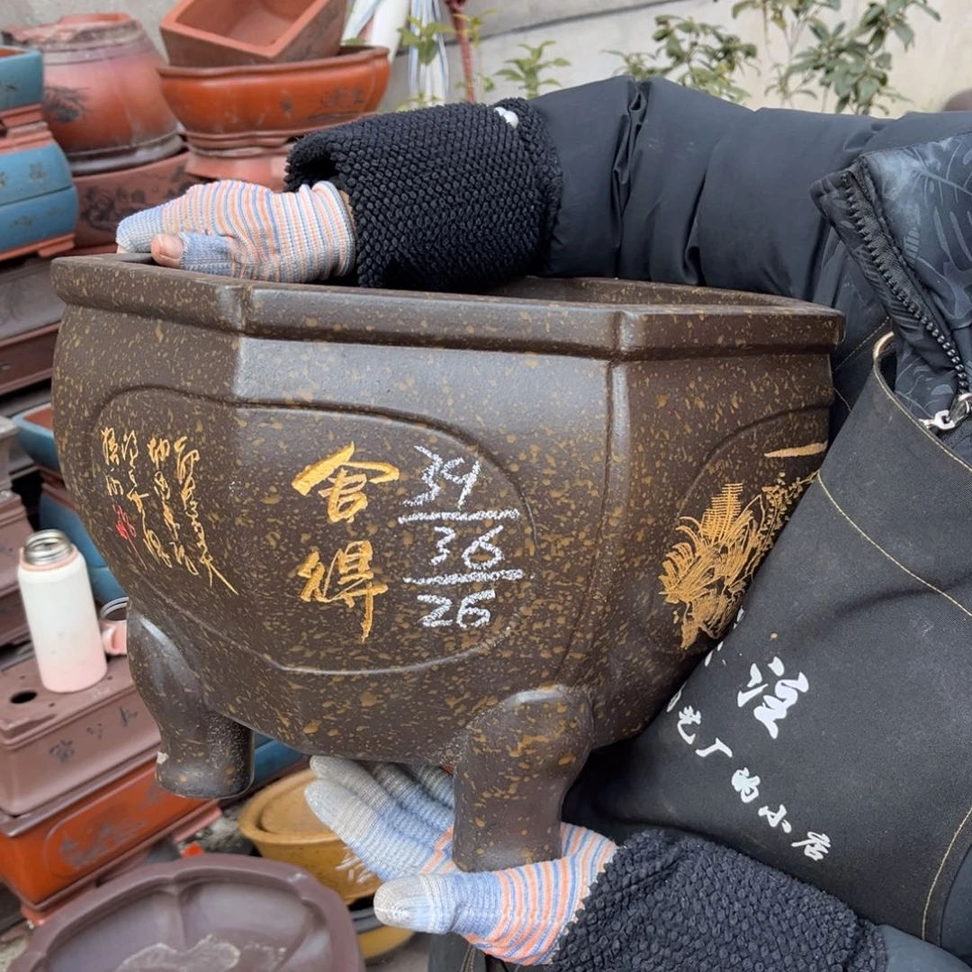 紫砂花盆盆景艺术