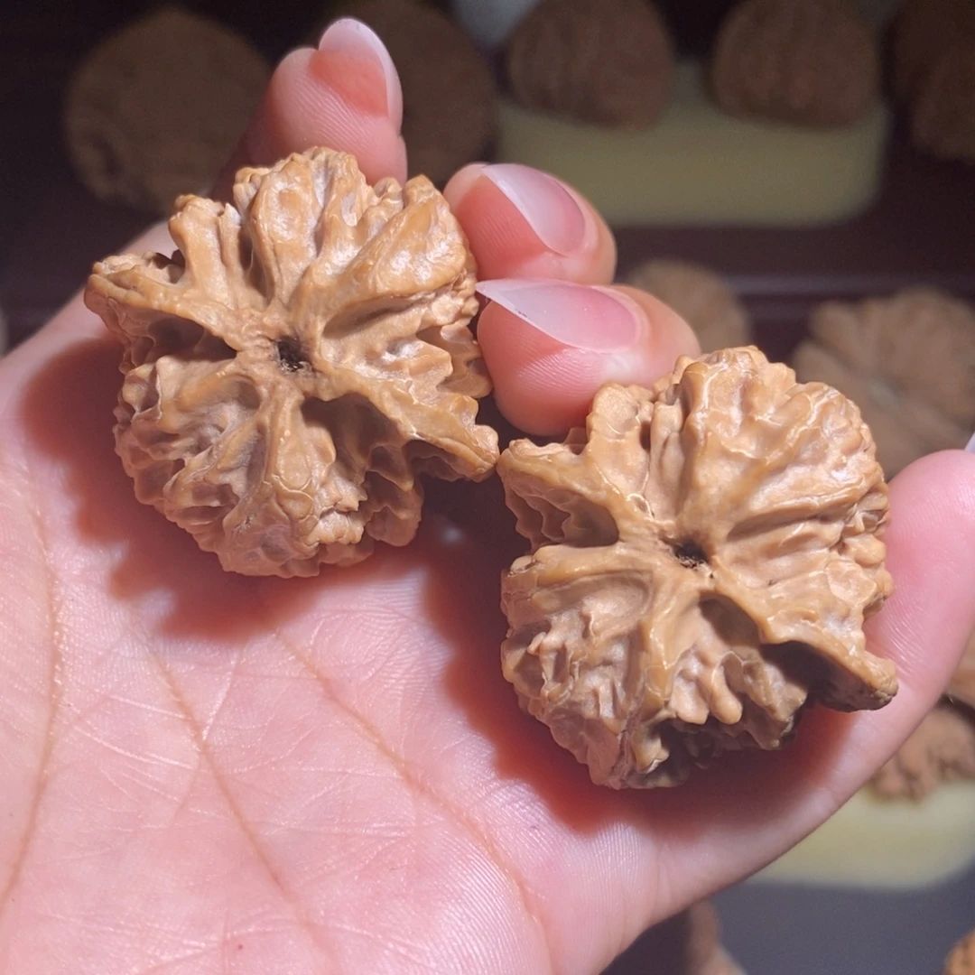 核桃全品原桩苹果园37.5