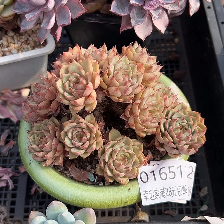 幸运的是我还没遇到过