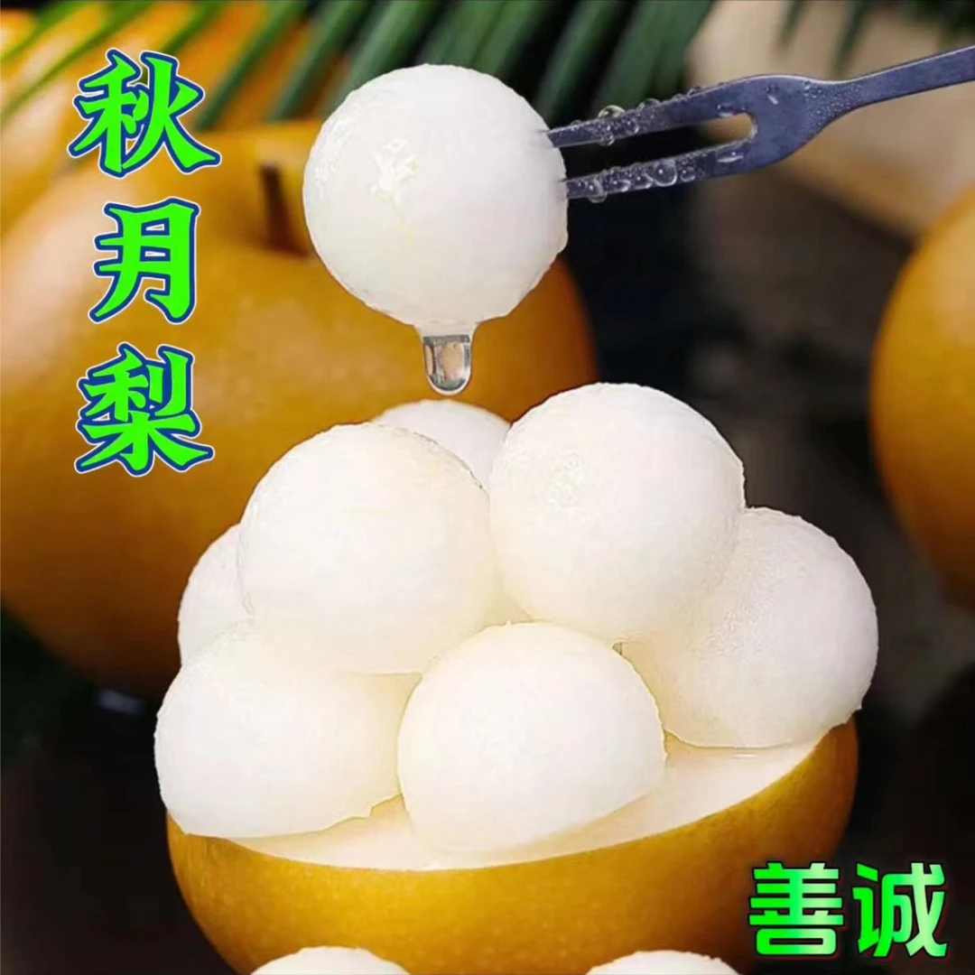 【主播专属】正宗山东秋月梨脆甜爽口个个爆汁净重4.5-5斤现采现发