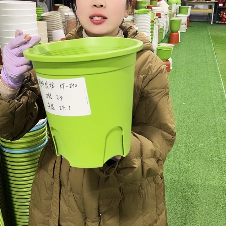 正品圆控口24高24果绿8只无托