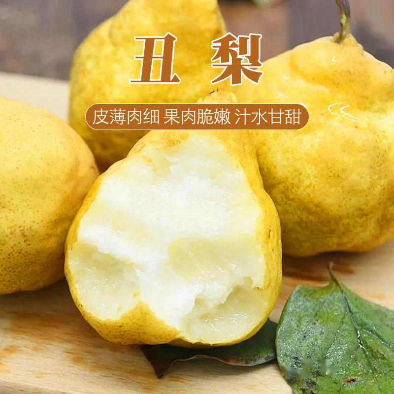【坏果包赔】山东文登佛手丑梨大果净重5斤