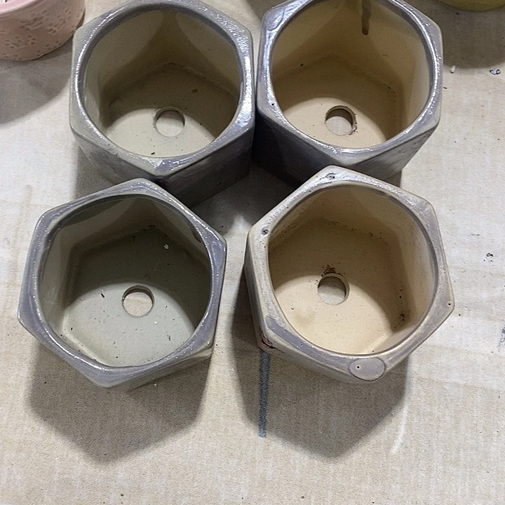 花盆抢购清货马上开始