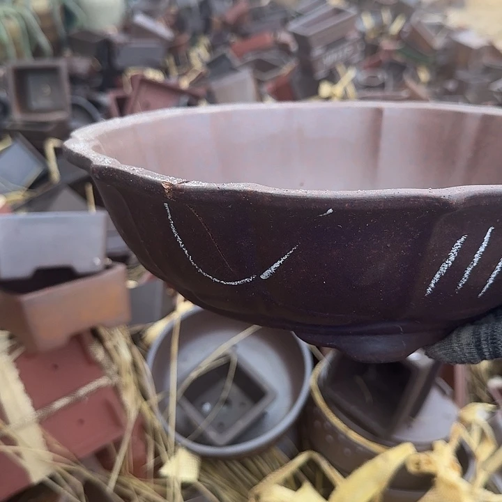 瑕疵吃瑕疵吃瑕疵瑕疵