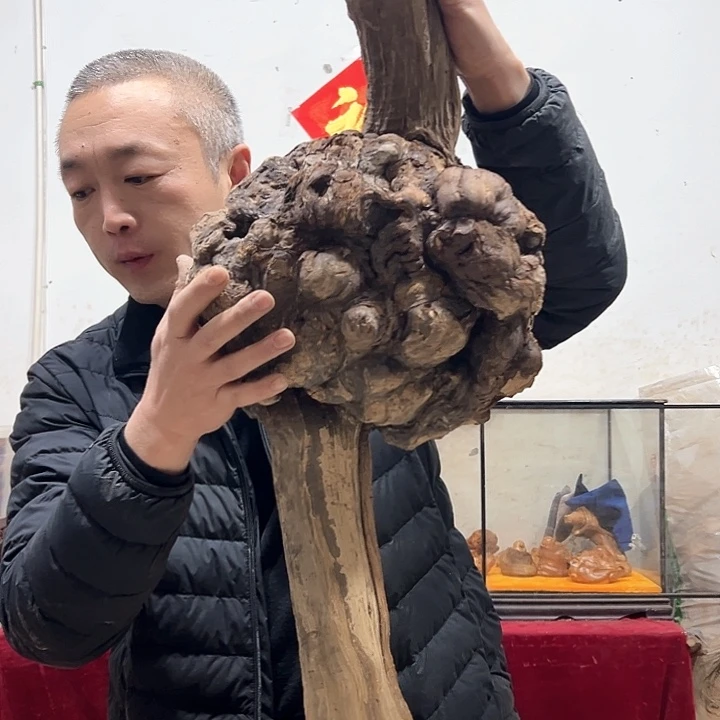 柏木西****）我们的生活也会越来越