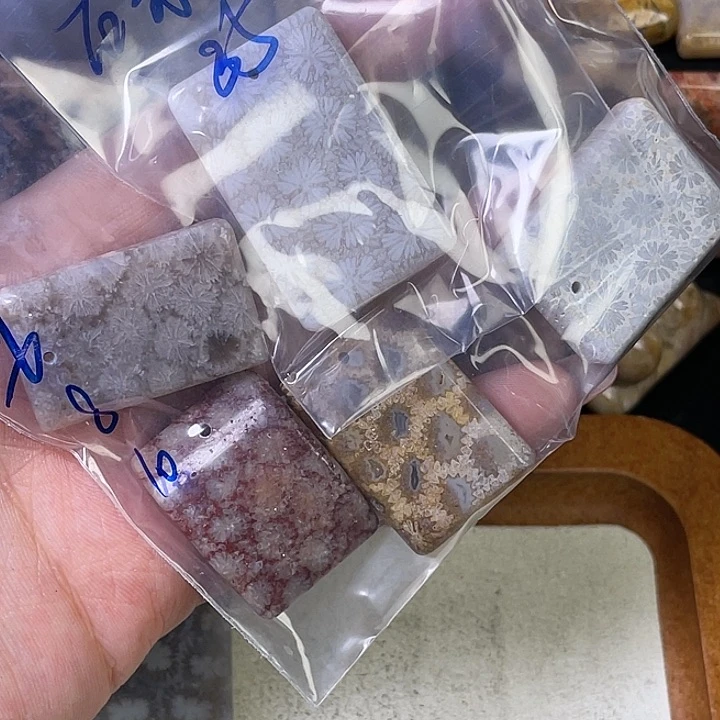 硅化珊瑚（珊瑚玉）珠宝金石合金石****玩