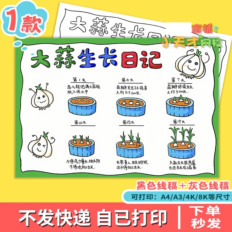 大蒜生长记手抄报电子版小学生观察记录植物蔬菜生长记录模板t896
