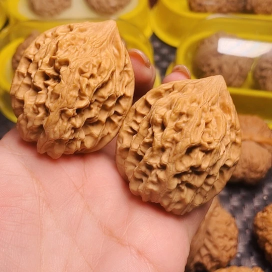 耗****猫文玩核桃赤龙鸡心