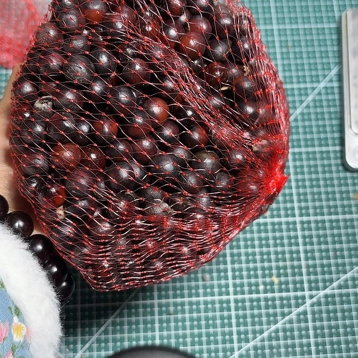 微***天无患子散籽红色小籽