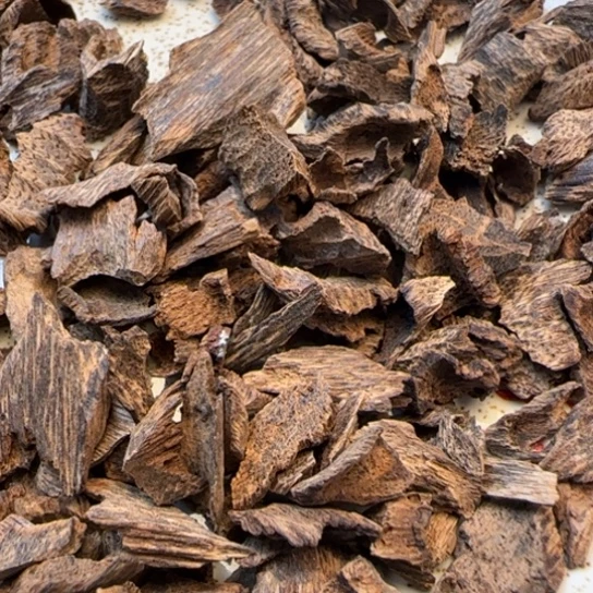 沉香摆件海南野生鸡母虫6克多样性发货