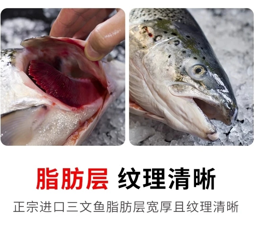 三文鱼冰鲜（鱼头、碎肉、鱼排）
