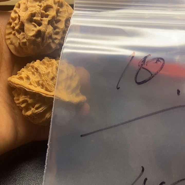 用***4核桃四十八号文玩