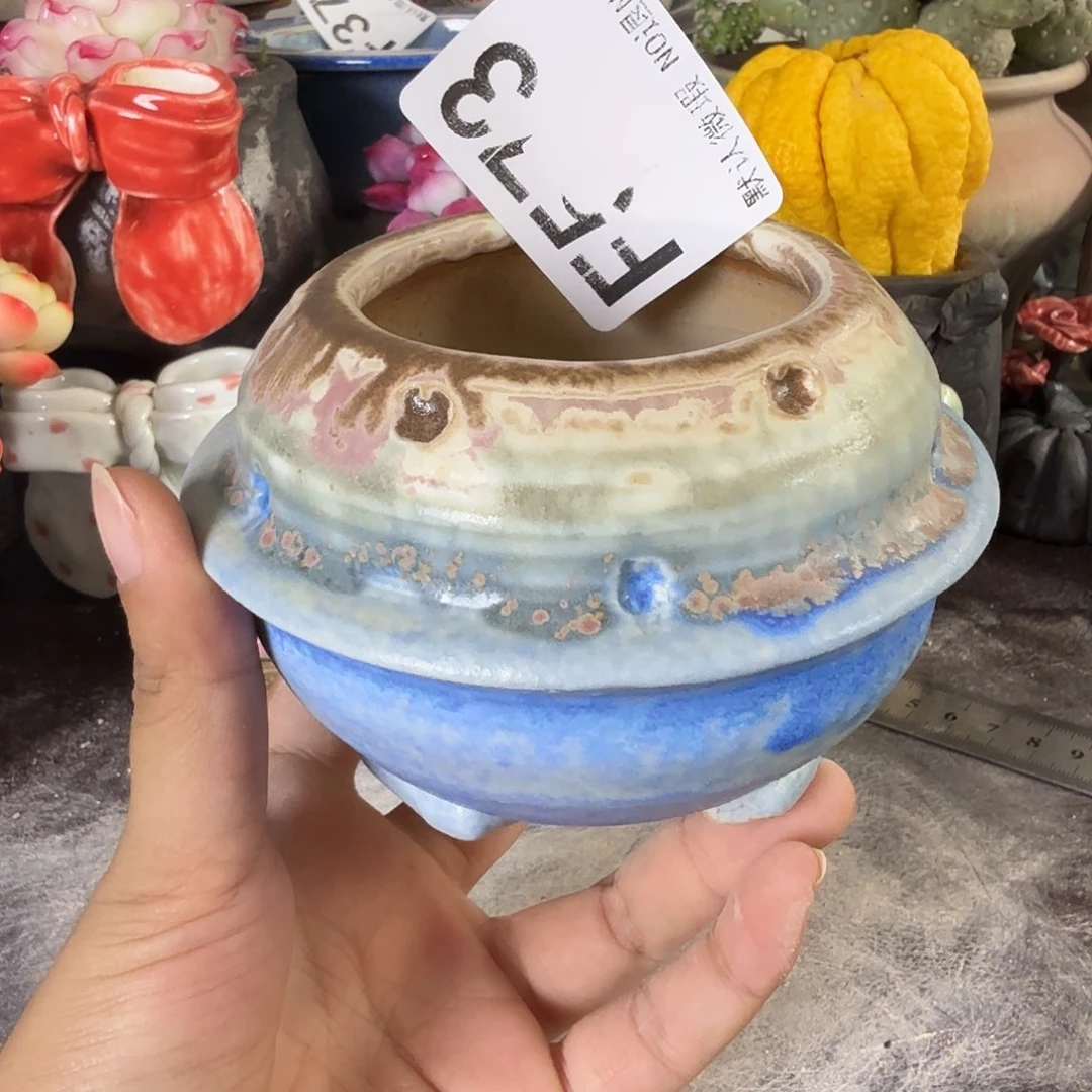 重庆小燕子欢迎大家573