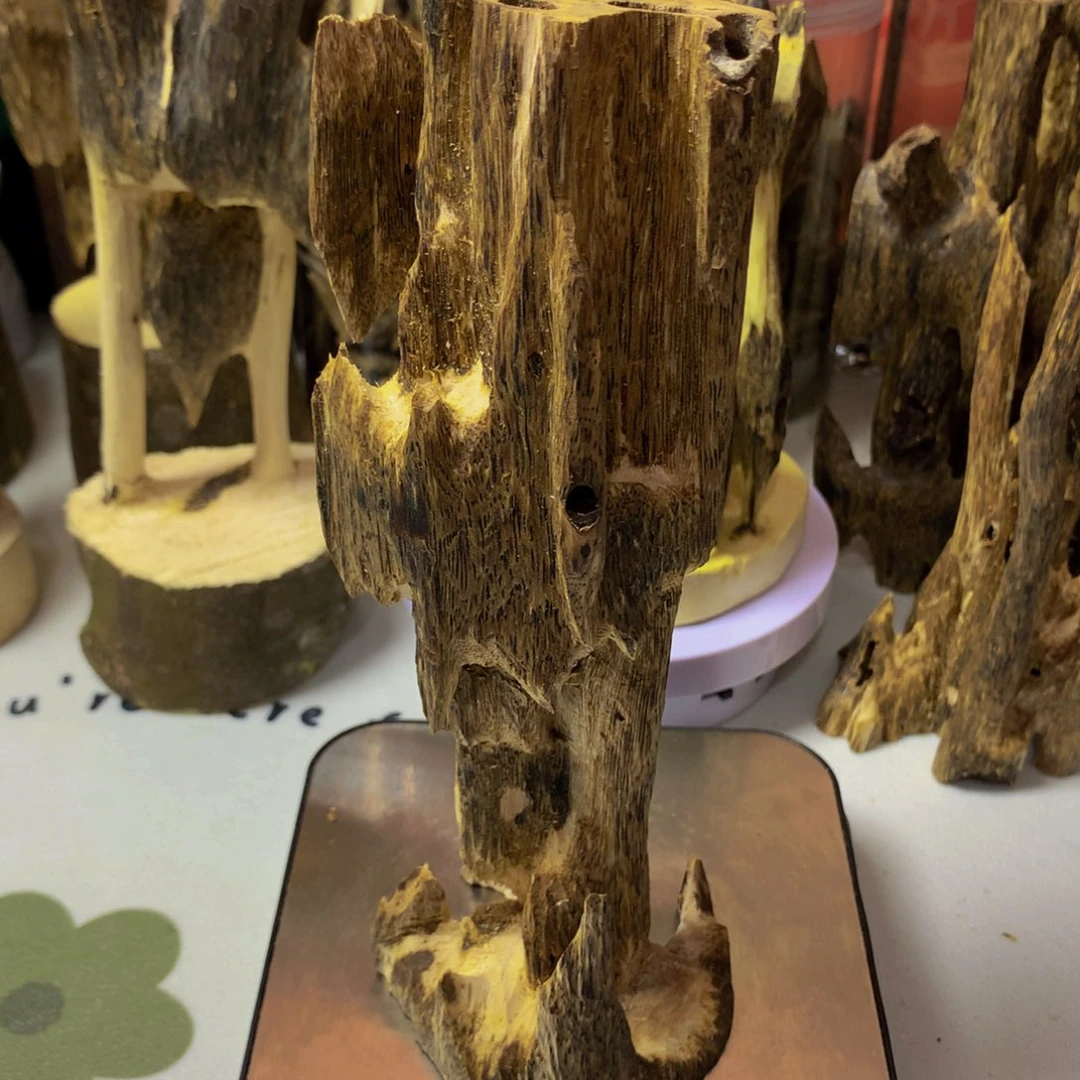 沉香沉香碎屑陆河虫漏168克