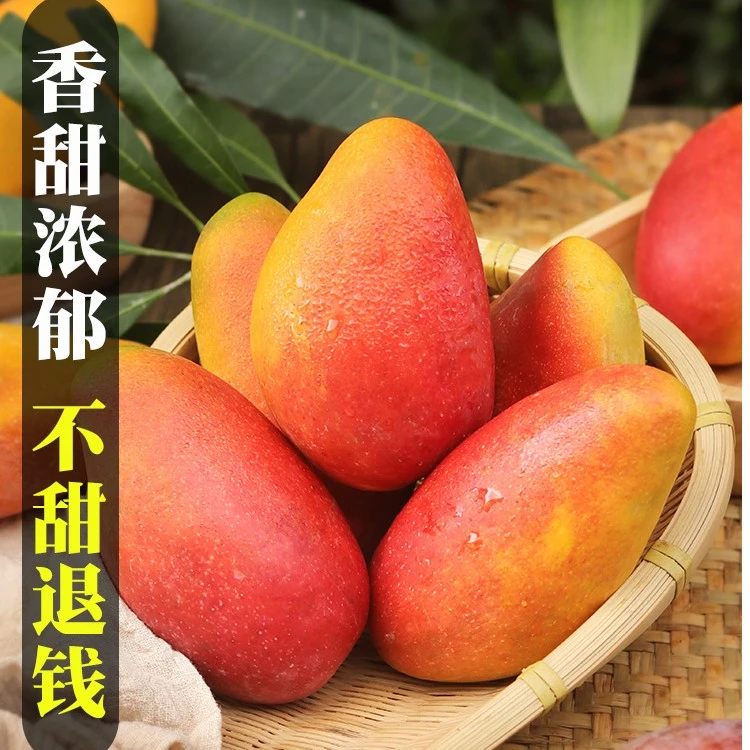 广西百色贵妃芒新鲜水果应当季热带芒果特大果5斤礼盒装