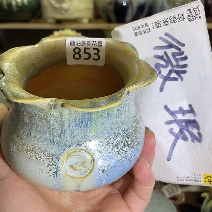 狼盆内口径7高度8