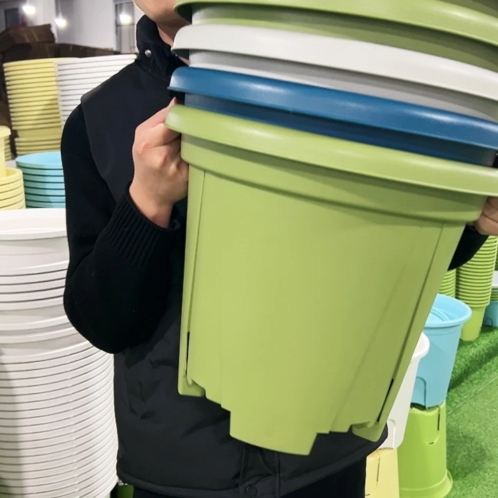 清仓青山口40高34果绿色5只无托