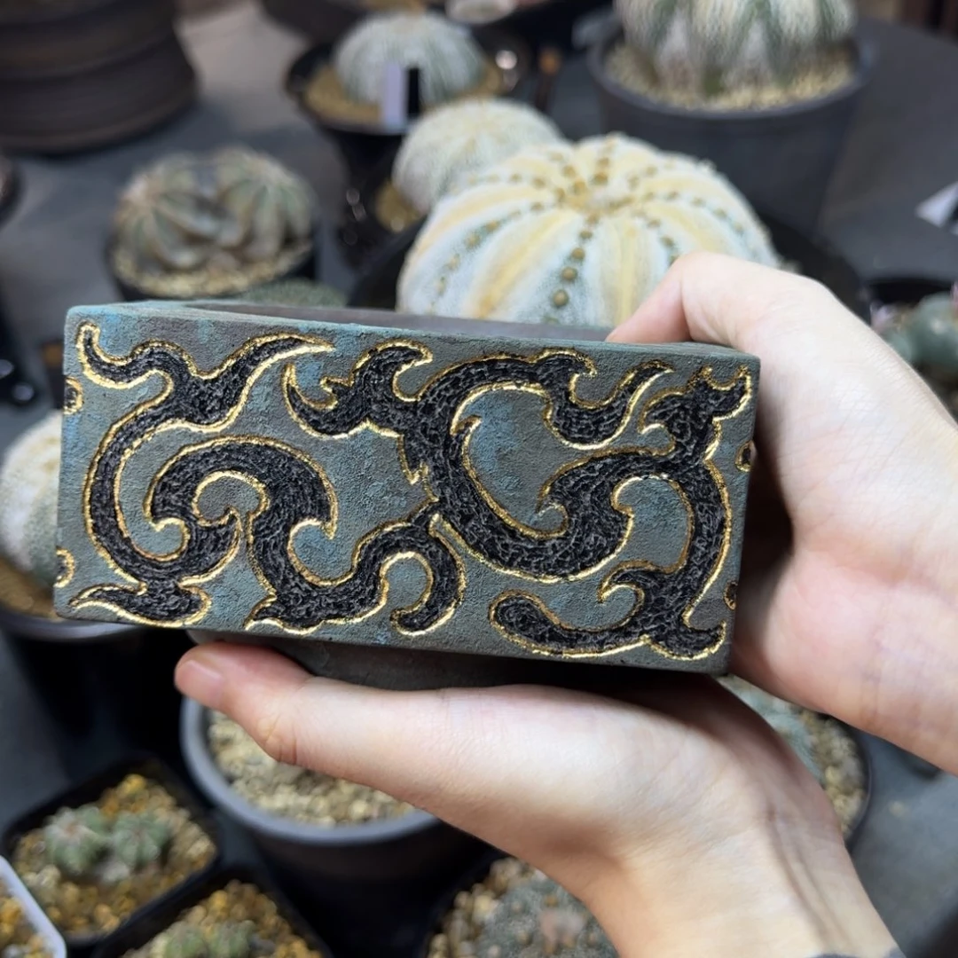 一***儿盆哈哈哈哈哈哈哈