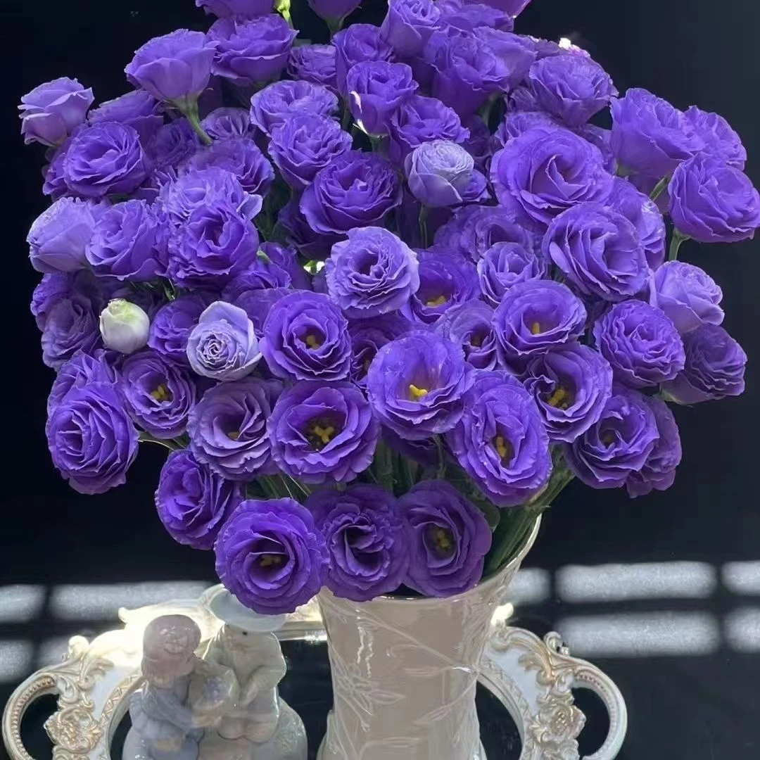 紫色洋桔梗云南鲜花基地直发家庭客厅水养插花