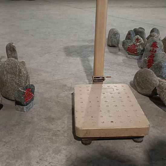 包运费已和客户说好
