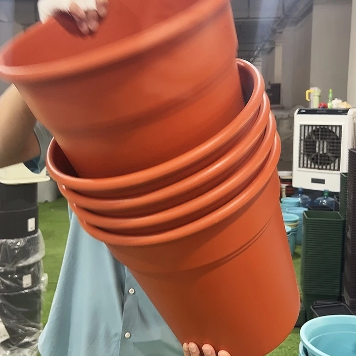 翻边口32高35陶红色5只无托