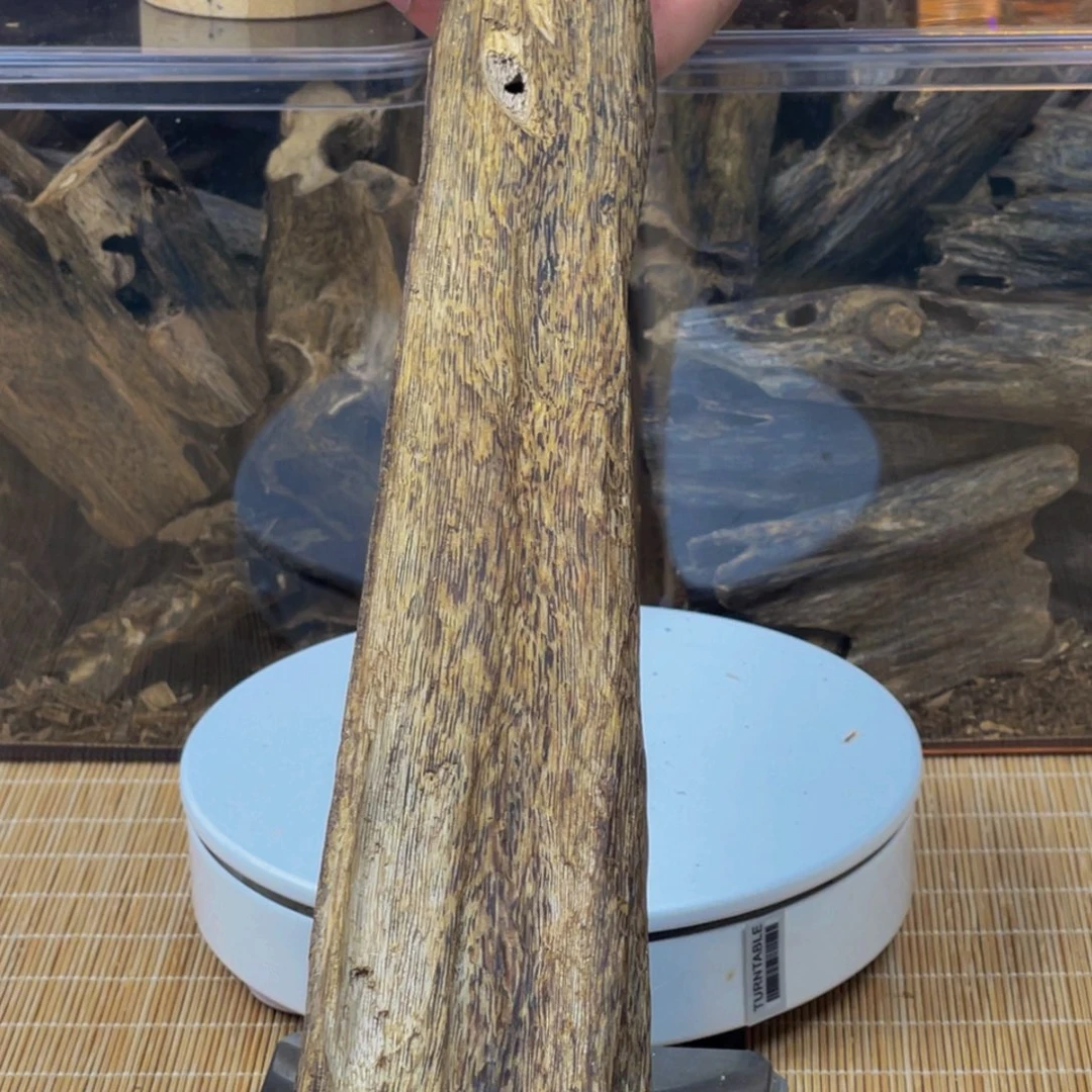 沉香碎屑沉香173克48