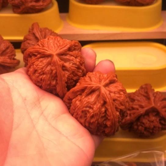 核桃核桃核桃核桃