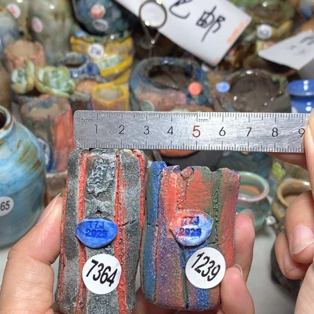 Y****定拍3送一个小礼物