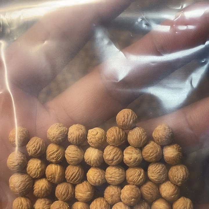 插***叔吊坠龙眼菩提小凤眼