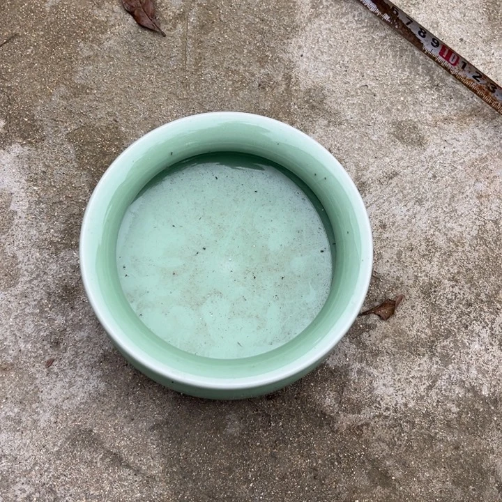 欢迎大家来看我的