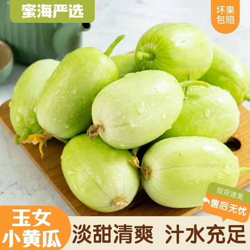 【蜜海严选】山东玉女小黄瓜3斤淡甜清爽 汁水充足