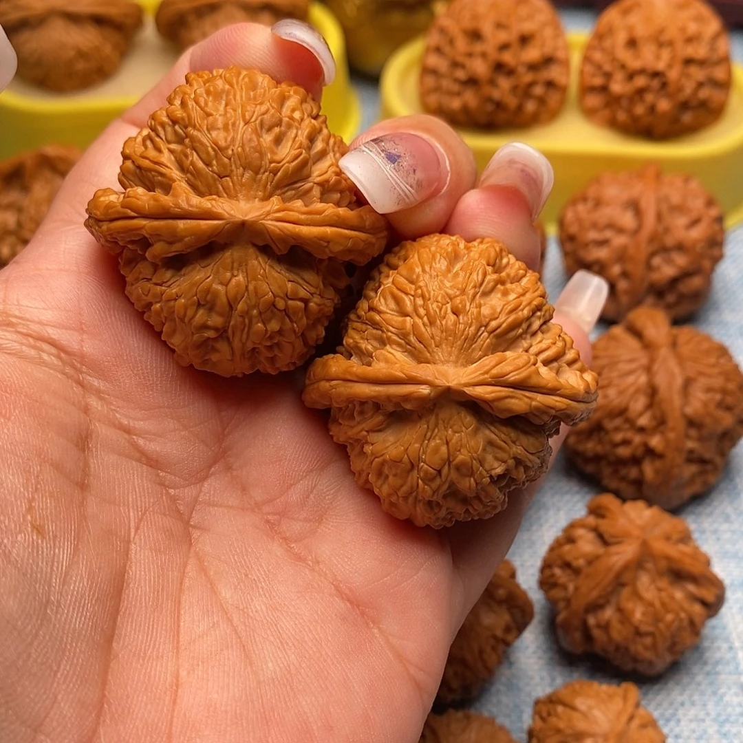 把件文玩核桃毕业白狮子41尺全品