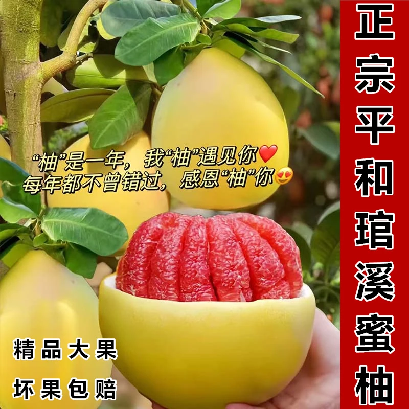 新鲜红心蜜柚正宗三红皮薄肉厚水分足超级甜的当季水果