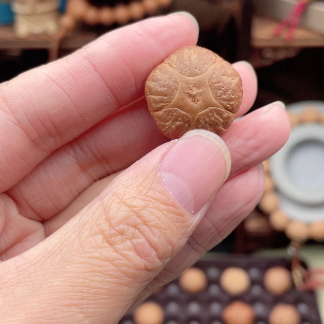 吊坠凤眼菩提༦**༦五星