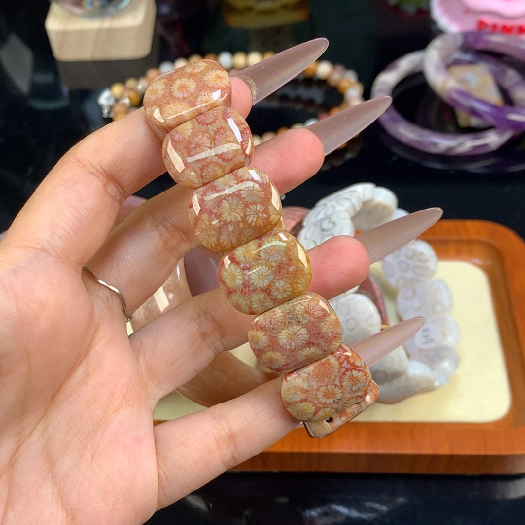 【闪购商品】颈饰未镶嵌硅化珊瑚（珊瑚玉）