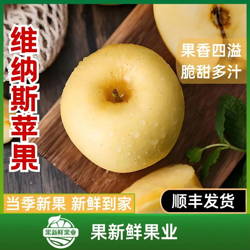 【维纳斯苹果】（约5斤毛重）礼盒装果香四溢脆甜多汁新鲜应季顺丰包邮送货上门黄金维纳斯