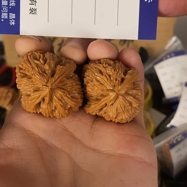 s189肉三角白狮子尺寸36