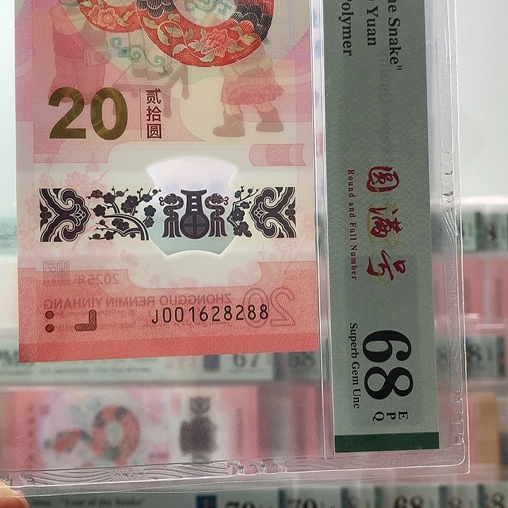 塑料朦胧尾88，8288