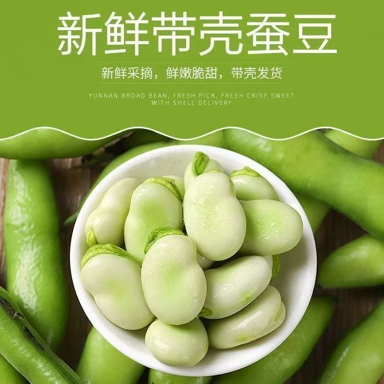 新鲜现摘贵州特产嫩蚕豆鱼新鲜吃皮兰花胡罗汉豆带壳整箱蔬菜农家