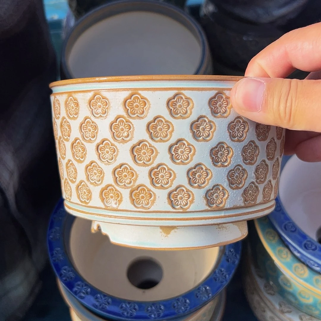 多肉一物一拍0728-31