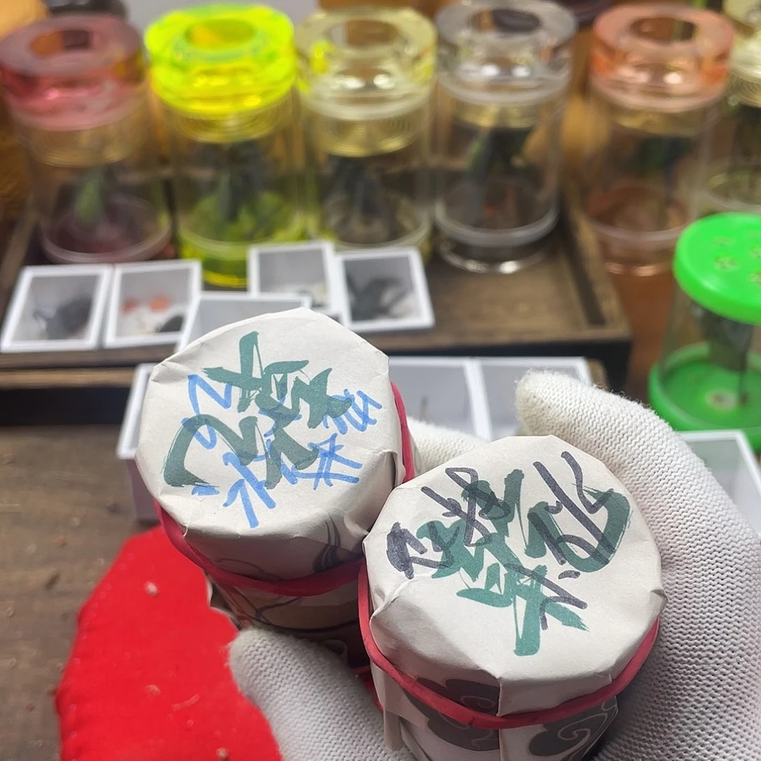 农***伙蟋蟀新的一年希望自己能有个好的开始