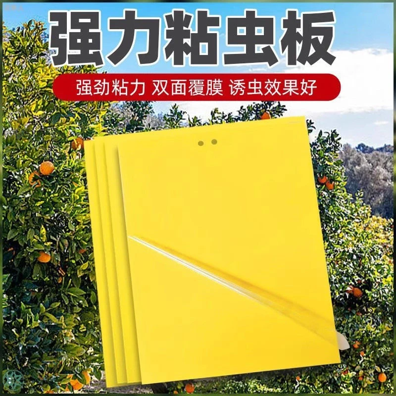 黄板双面粘虫板果蝇诱虫板菜地驱虫驱蚊蝇针蜂苍蝇防虫贴蓟马黄板