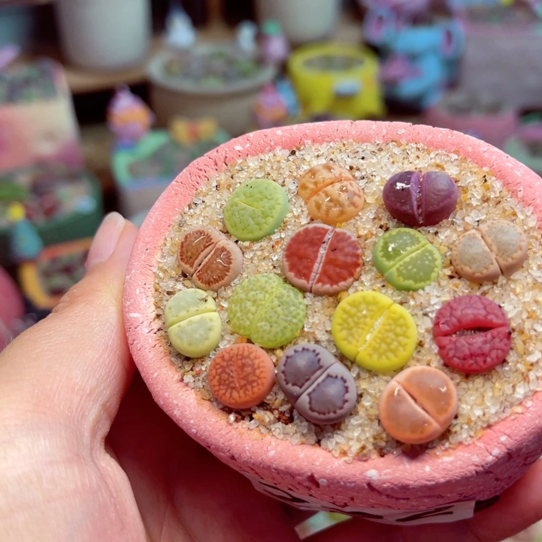 292。888888888888888888888