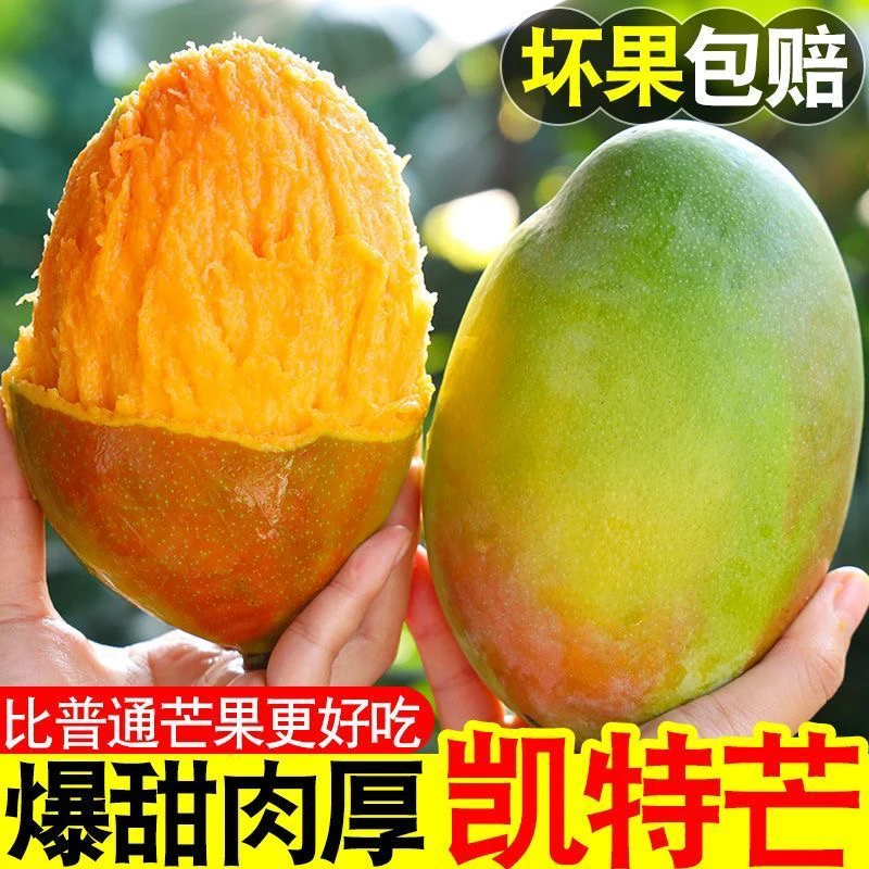 【放熟后在吃】四川攀枝花凯特芒果新鲜水果现摘大青芒果10斤非广西