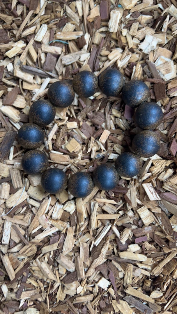 沉香x54 福莱精选高端文玩