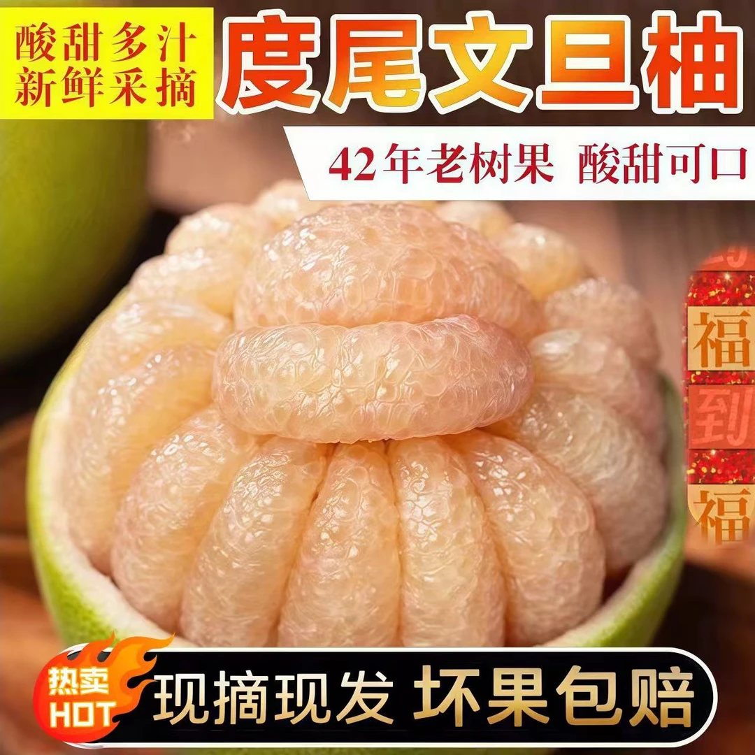 【现摘现发】 正宗度尾文旦柚新鲜水果当季水果多汁无籽蜜柚包邮