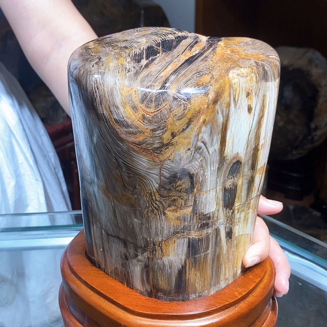 硅化玉天然北票树化玉原石未镶嵌