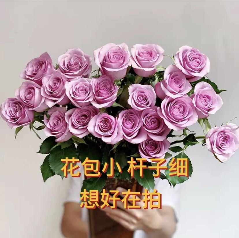 【紫霞仙子】云南鲜花玫瑰花鲜切花一单普快2单升顺丰3单送配草