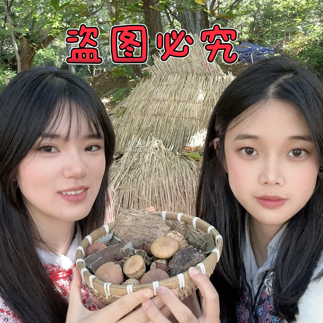 阿妹家的六位泡 高山高海拔 精选原料 雪燕